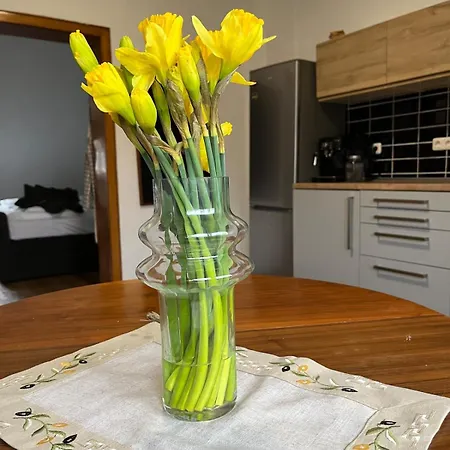Dachgeschosswohnung Im 3-staedteeck 公寓 *