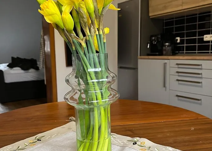 Dachgeschosswohnung Im 3-staedteeck Apartamento *